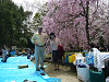 p1000090_thumb.jpg