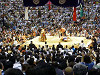 p10003851_thumb.jpg