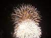 p1000521_thumb.jpg