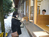 p1010413_thumb.jpg