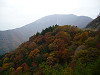 p1050074_thumb.jpg