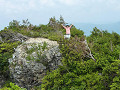 p1000018_thumb.jpg