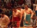 p1000057_thumb.jpg