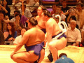 p1000065_thumb.jpg