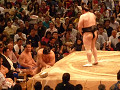 p1000080_thumb.jpg