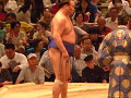 p1000085_thumb.jpg