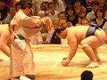 p1000090_thumb.jpg