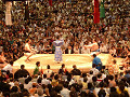 p1000115_thumb.jpg