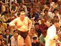 p1000141_thumb.jpg