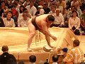 p1000145_thumb.jpg