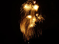 p1000251_thumb.jpg