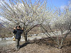 p1090008_thumb.jpg