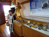 p1000558_thumb.jpg