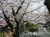 p1000914_thumb.jpg