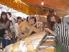 p1000919_thumb.jpg