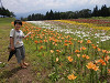 p8080034_thumb.jpg