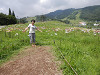 p8080041_thumb.jpg