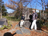 pa270011_thumb.jpg