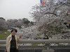 p3290105_thumb.jpg