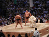 p7240118_thumb.jpg