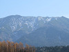 img_2981_thumb.jpg