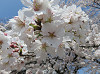 img_9499_thumb.jpg