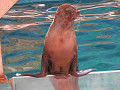 img_0186_thumb.jpg