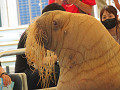 img_0256_thumb.jpg