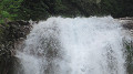 img_0199_thumb.jpg