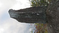img_0230_thumb.jpg
