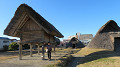 img_0246_thumb.jpg