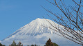 img_0408_thumb.jpg