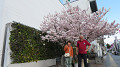 img_0207_thumb.jpg