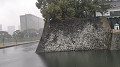img20230323111332_thumb.jpg