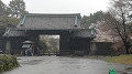 img20230323132936_thumb.jpg