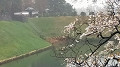 img20230323135801_thumb.jpg