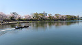 img_0291_thumb.jpg