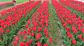 img_0639_thumb.jpg