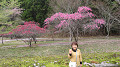 img_0085_thumb.jpg