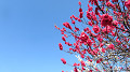 img_0366_thumb.jpg