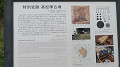 img_0380_thumb.jpg