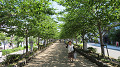 img_0032_thumb.jpg