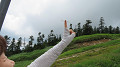 img_0956_thumb.jpg