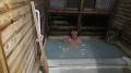 img_1066_thumb.jpg