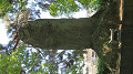 img_1159_thumb.jpg