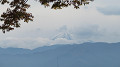 img_0790_thumb.jpg