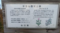 img_1172_thumb.jpg