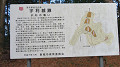 img_1229_thumb.jpg