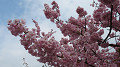 img_0566_thumb.jpg