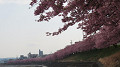 img_0570_thumb.jpg